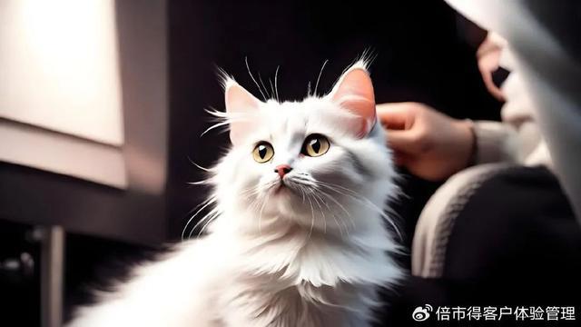 （一）：精细化、智能化、个性化九游会j9登录宠物消费新趋势(图3)